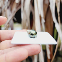 Load image into Gallery viewer, Civa Fiji Loose Saltwater Pearl - FJD$