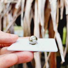 Load image into Gallery viewer, Civa Fiji Loose Saltwater Pearl - FJD$