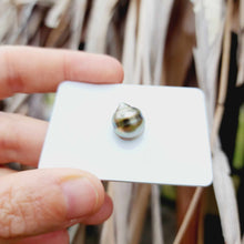 Load image into Gallery viewer, Civa Fiji Loose Saltwater Pearl - FJD$