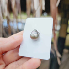 Load image into Gallery viewer, Civa Fiji Loose Saltwater Pearl - FJD$