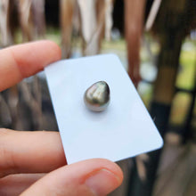 Load image into Gallery viewer, Civa Fiji Loose Saltwater Pearl - FJD$