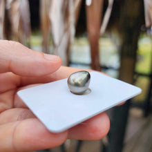 Load image into Gallery viewer, Civa Fiji Loose Saltwater Pearl - FJD$