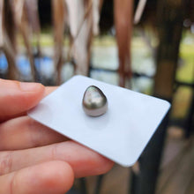 Load image into Gallery viewer, Civa Fiji Loose Saltwater Pearl - FJD$