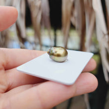 Load image into Gallery viewer, Civa Fiji Loose Saltwater Pearl - FJD$