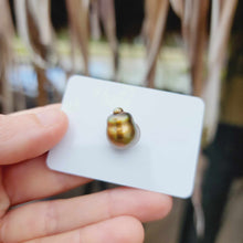 Load image into Gallery viewer, Civa Fiji Loose Saltwater Pearl - FJD$