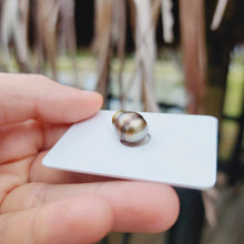 Load image into Gallery viewer, Civa Fiji Loose Saltwater Pearl - FJD$