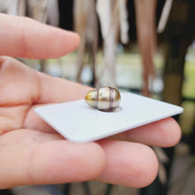 Load image into Gallery viewer, Civa Fiji Loose Saltwater Pearl - FJD$