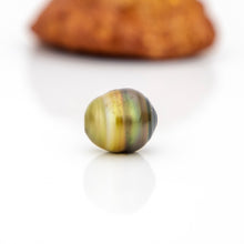 Load image into Gallery viewer, Civa Fiji Loose Saltwater Pearl - FJD$