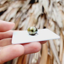 Load image into Gallery viewer, Civa Fiji Loose Saltwater Pearl - FJD$