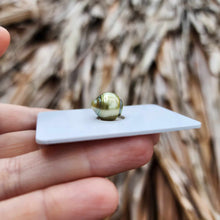 Load image into Gallery viewer, Civa Fiji Loose Saltwater Pearl - FJD$