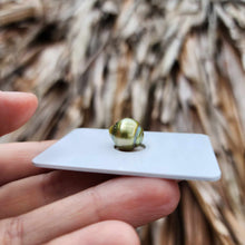 Load image into Gallery viewer, Civa Fiji Loose Saltwater Pearl - FJD$