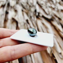 Load image into Gallery viewer, Civa Fiji Loose Saltwater Pearl - FJD$