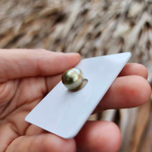 Load image into Gallery viewer, Civa Fiji Loose Saltwater Pearl - FJD$