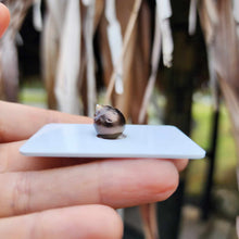 Load image into Gallery viewer, Civa Fiji Loose Saltwater Pearl - FJD$