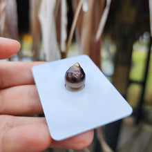 Load image into Gallery viewer, Civa Fiji Loose Saltwater Pearl - FJD$