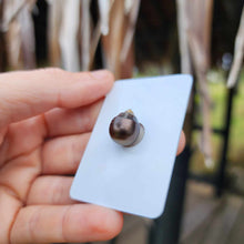Load image into Gallery viewer, Civa Fiji Loose Saltwater Pearl - FJD$