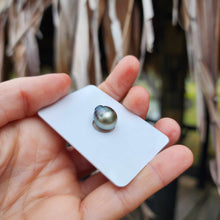 Load image into Gallery viewer, Civa Fiji Loose Saltwater Pearl - FJD$