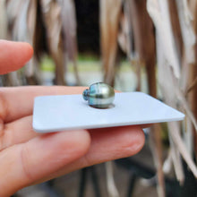 Load image into Gallery viewer, Civa Fiji Loose Saltwater Pearl - FJD$