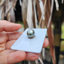 Load image into Gallery viewer, Civa Fiji Loose Saltwater Pearl - FJD$