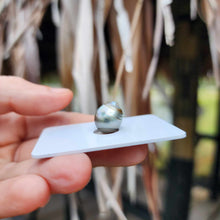 Load image into Gallery viewer, Civa Fiji Loose Saltwater Pearl - FJD$