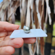 Load image into Gallery viewer, Civa Fiji Loose Saltwater Pearl - FJD$