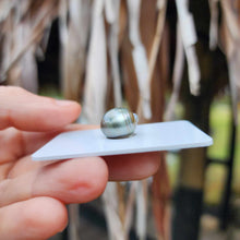 Load image into Gallery viewer, Civa Fiji Loose Saltwater Pearl - FJD$