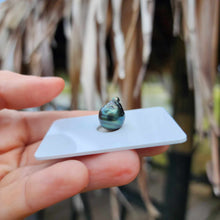 Load image into Gallery viewer, Civa Fiji Loose Saltwater Pearl - FJD$