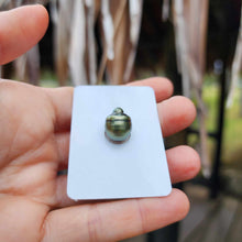 Load image into Gallery viewer, Civa Fiji Loose Saltwater Pearl - FJD$