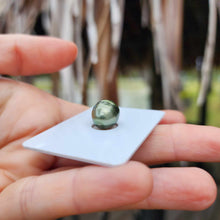 Load image into Gallery viewer, Civa Fiji Loose Saltwater Pearl - FJD$