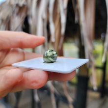 Load image into Gallery viewer, Civa Fiji Loose Saltwater Pearl - FJD$