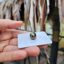 Load image into Gallery viewer, Civa Fiji Loose Saltwater Pearl - FJD$