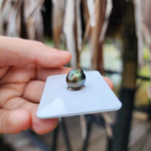 Load image into Gallery viewer, Civa Fiji Loose Saltwater Pearl - FJD$