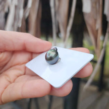 Load image into Gallery viewer, Civa Fiji Loose Saltwater Pearl - FJD$