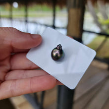 Load image into Gallery viewer, Civa Fiji Loose Saltwater Pearl - FJD$