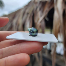 Load image into Gallery viewer, Civa Fiji Loose Saltwater Pearl - FJD$