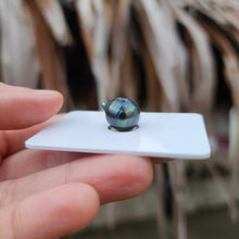 Load image into Gallery viewer, Civa Fiji Loose Saltwater Pearl - FJD$