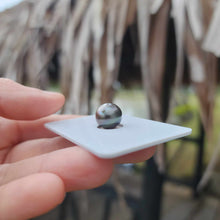 Load image into Gallery viewer, Civa Fiji Loose Saltwater Pearl - FJD$