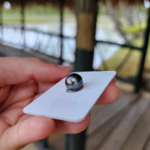 Load image into Gallery viewer, Civa Fiji Loose Saltwater Pearl - FJD$