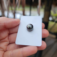 Load image into Gallery viewer, Civa Fiji Loose Saltwater Pearl - FJD$
