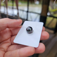 Load image into Gallery viewer, Civa Fiji Loose Saltwater Pearl - FJD$