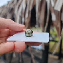 Load image into Gallery viewer, Civa Fiji Loose Saltwater Pearl - FJD$