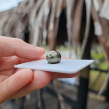 Load image into Gallery viewer, Civa Fiji Loose Saltwater Pearl - FJD$