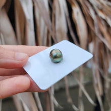 Load image into Gallery viewer, Civa Fiji Loose Saltwater Pearl - FJD$