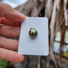 Load image into Gallery viewer, Civa Fiji Loose Saltwater Pearl - FJD$