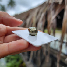 Load image into Gallery viewer, Civa Fiji Loose Saltwater Pearl - FJD$