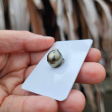 Load image into Gallery viewer, Civa Fiji Loose Saltwater Pearl - FJD$