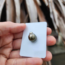 Load image into Gallery viewer, Civa Fiji Loose Saltwater Pearl - FJD$