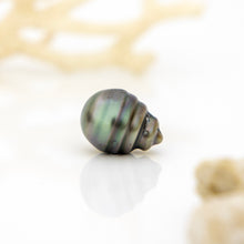 Load image into Gallery viewer, Civa Fiji Loose Saltwater Pearl - FJD$