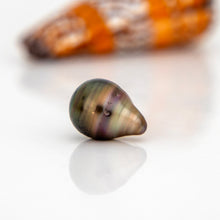 Load image into Gallery viewer, Civa Fiji Loose Saltwater Pearl - FJD$
