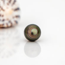 Load image into Gallery viewer, Civa Fiji Loose Saltwater Pearl - FJD$